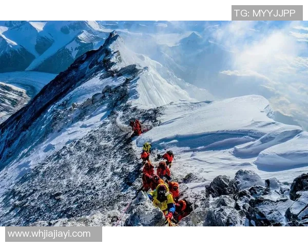 上海排球队勇攀高峰全国锦标赛背后的奋斗与荣耀故事