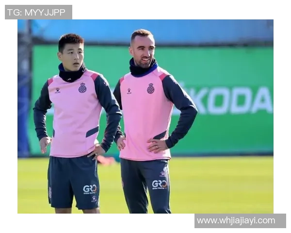 南京飞盘队节奏之争引发热议球迷与专家各执己见